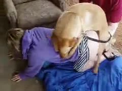 The family pet fucked the once-naive wife well as she was face-down with her ass up.